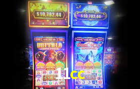 11cc.com